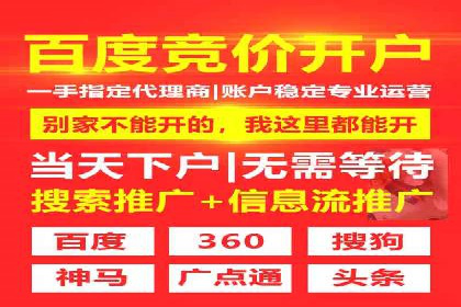 Sem优化公司案例：精准广告投放策略解析