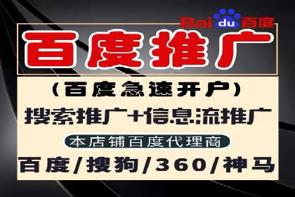SEM推广实战：成功案例解读与策略调整